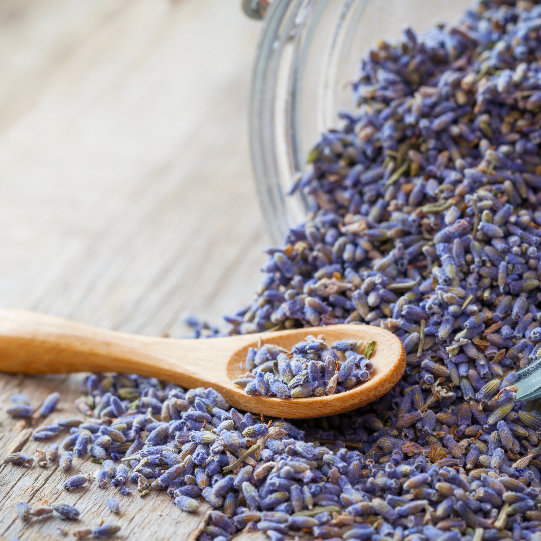 Lavendel bloem - infusie