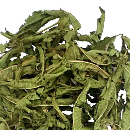 Ijzerkruid verbena verveine Lena Leaf kruideninfusie kruiden